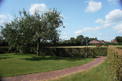 018 Modern ingerichte 6 persoons vakantiehuis gevestigd in een boerderij in Limburg