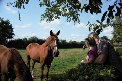 020 Modern ingerichte 6 persoons vakantiehuis gevestigd in een boerderij in Limburg