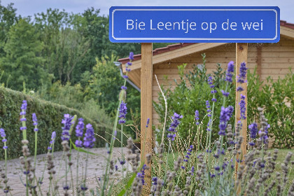 069 Bie Leentje op de Wei