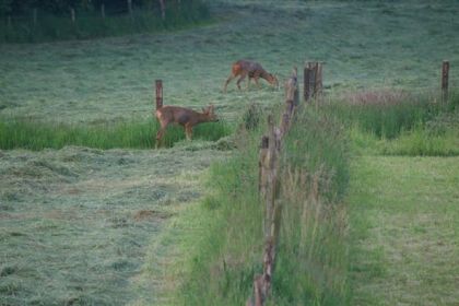 028 10 tot 14 persoons groepsaccommodatie in Zuid Limburg