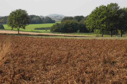 001 Gezellige 20 tot 25 persoons groepsaccommodatie in Zuid Limburg