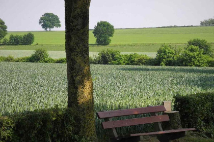 006 Gezellige 4 persoons vakantiehuis in idyllische boerderij in Zuid Limburg