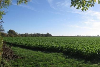 015 Gezellige 4 persoons vakantiehuis in idyllische boerderij in Zuid Limburg