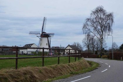 025 Aalbes