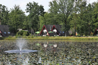 023 Geschakelde bungalows voor 8 personen gelegen op een vakantiepark in Limburg