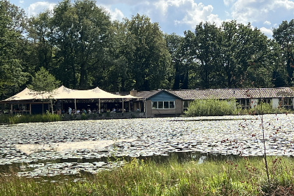 030 Knus 2 persoons vakantiehuis met veranda in Limburg aan de Belgische grens