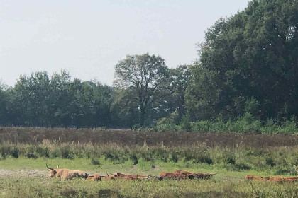 002 Mooi 5 persoons vakantiehuis op gezellig familiepark in Limburg