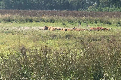 004 Mooi 5 persoons vakantiehuis op gezellig familiepark in Limburg