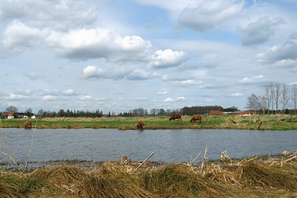 042 Mooi 5 persoons vakantiehuis op gezellig familiepark in Limburg