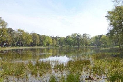 028 Muizeoortje