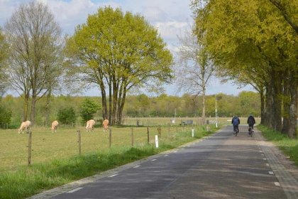 029 Muizeoortje