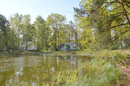 034 Muizeoortje