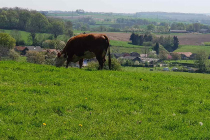 011 Landelijk gelegen 2 pers. appartement in een woonboerderij in Valkenburg aan de Geul