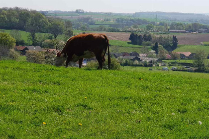 005 Landelijk gelegen NIEUW 2 pers. appartement in een woonboerderij in Valkenburg aan de Geul