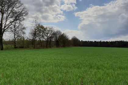 030 Gezellig 20 persoons familiehuis in het groen met goede voorzieningen