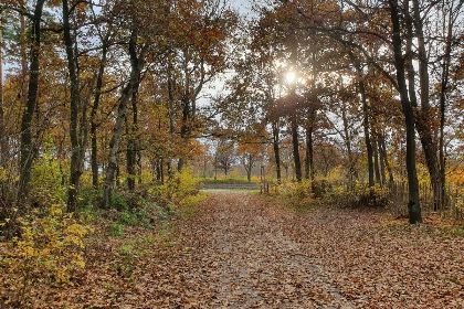 023 Sfeervol 2 persoons vakantiehuis in een stiltegebied midden in de Brabantse natuur