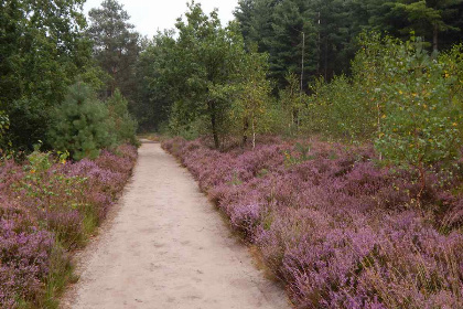 027 Sfeervol 2 persoons vakantiehuis in een stiltegebied midden in de Brabantse natuur