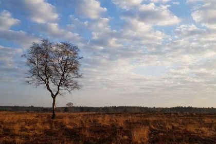 030 Sfeervol 2 persoons vakantiehuis in een stiltegebied midden in de Brabantse natuur