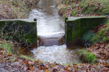 031 Sfeervol 2 persoons vakantiehuis in een stiltegebied midden in de Brabantse natuur