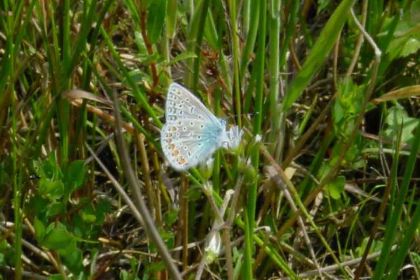 036 Sfeervol 2 persoons vakantiehuis in een stiltegebied midden in de Brabantse natuur