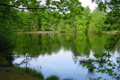 037 Sfeervol 2 persoons vakantiehuis in een stiltegebied midden in de Brabantse natuur