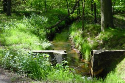 038 Sfeervol 2 persoons vakantiehuis in een stiltegebied midden in de Brabantse natuur