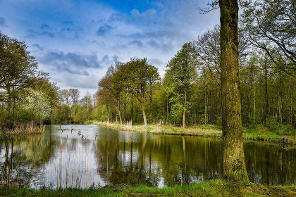 002 Landelijk gelegen vrijstaand 6 persoons vakantiehuis in Noord Brabant!