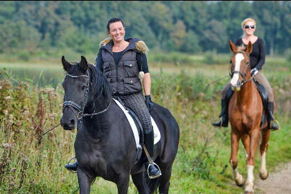 008 Landelijk gelegen vrijstaand 6 persoons vakantiehuis in Noord Brabant!