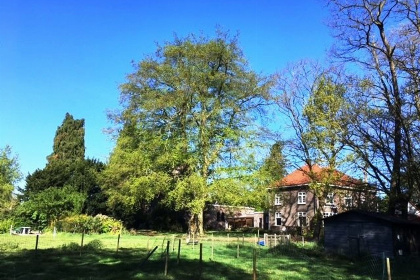 022 Pastoorswoning   bijzonder en luxe vakantiehuis in Brabant