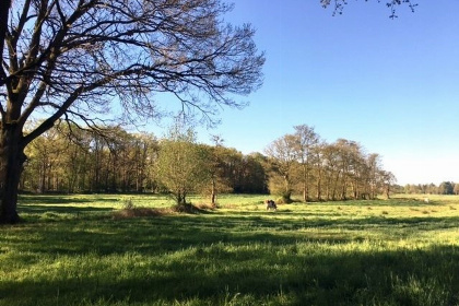 023 Pastoorswoning   bijzonder en luxe vakantiehuis in Brabant