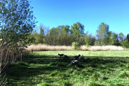 026 Pastoorswoning   bijzonder en luxe vakantiehuis in Brabant