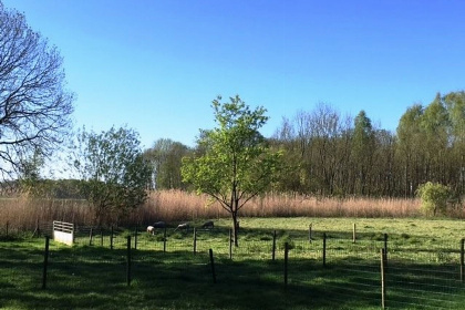 027 Pastoorswoning   bijzonder en luxe vakantiehuis in Brabant