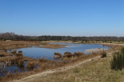 026 Mooi vrijstaand chalet voor 5 personen op een familiepark in Noord Brabant