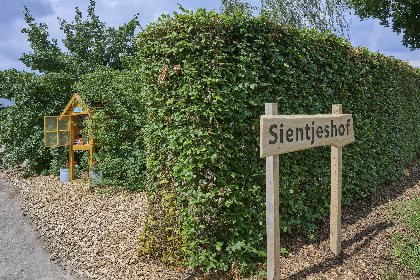 028 Sientjeshof 1