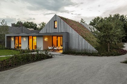 038 WOOD