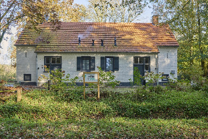 046 Bosbeertje 43 45
