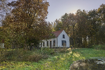 049 Bosbeertje 43 45