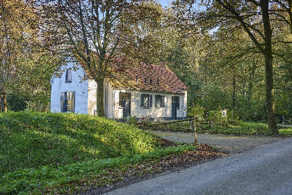 052 Bosbeertje 43 45