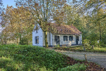 056 Bosbeertje 43 45