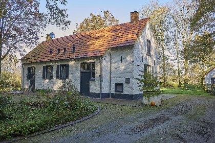 064 Bosbeertje 43 45