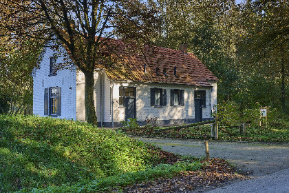 030 Bosbeertje 45
