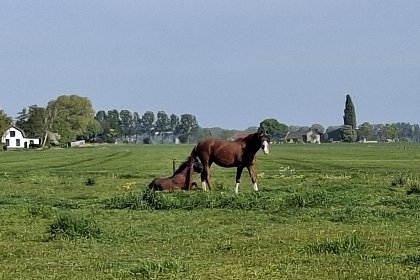 029 Genderens Buiten