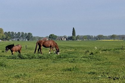 030 Genderens Buiten