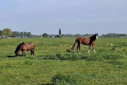 031 Genderens Buiten