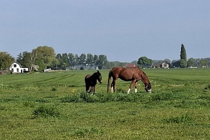 032 Genderens Buiten