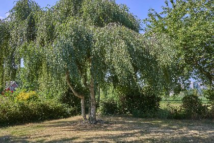 044 Genderens Buiten