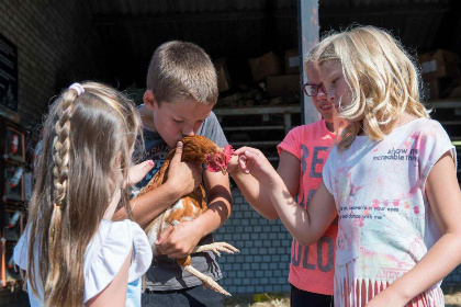 017 Mooi 10 persoons vakantiehuis op een boerderijcamping in Goirle