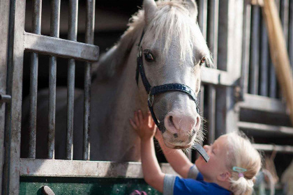 021 Mooi 10 persoons vakantiehuis op een boerderijcamping in Goirle