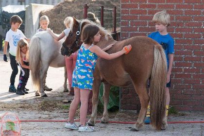 023 Mooi 10 persoons vakantiehuis op een boerderijcamping in Goirle