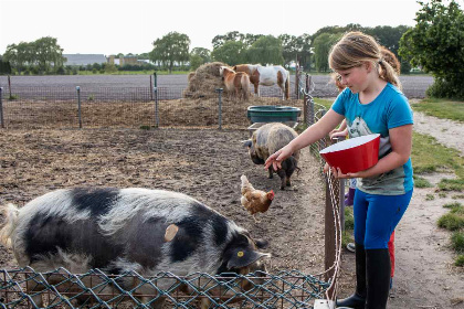 028 Mooi 10 persoons vakantiehuis op een boerderijcamping in Goirle